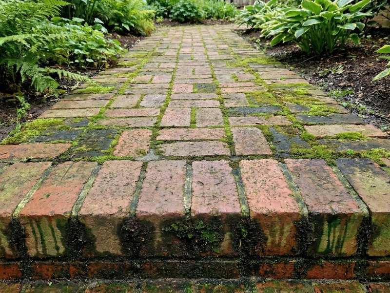 ปัญหาพื้นคอนกรีตเป็นคราบตะไคร่และเชื้อราดำ